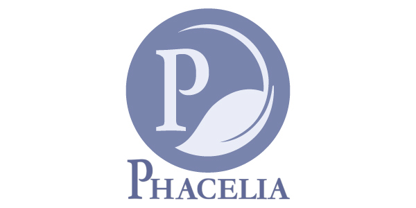 Phacelia